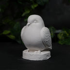 Dove