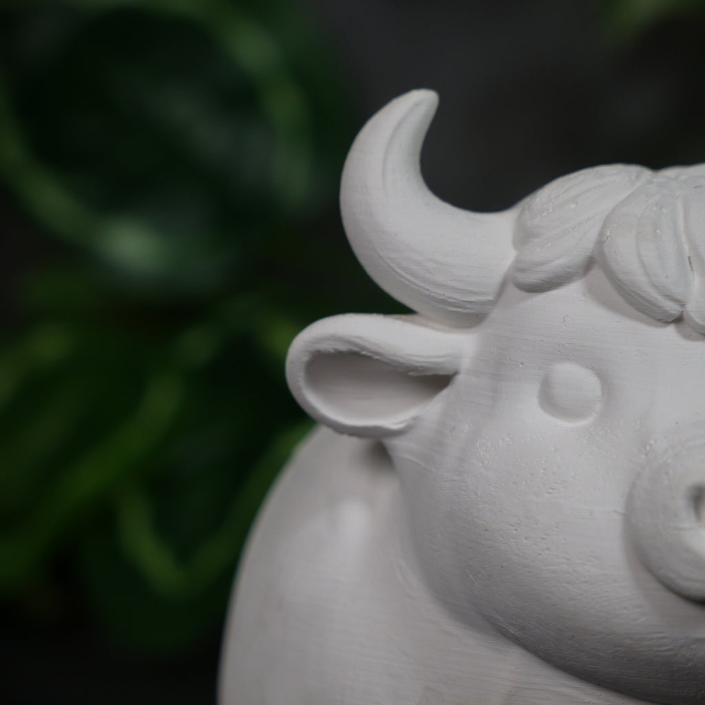 Kevin the Water Buffalo