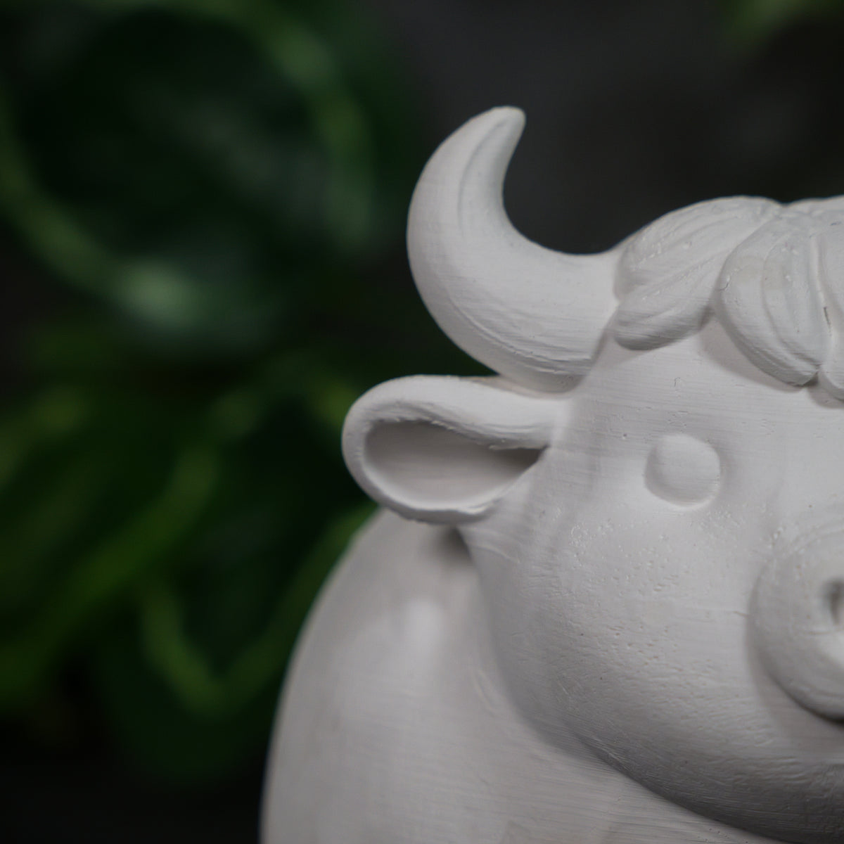 Kevin the Water Buffalo