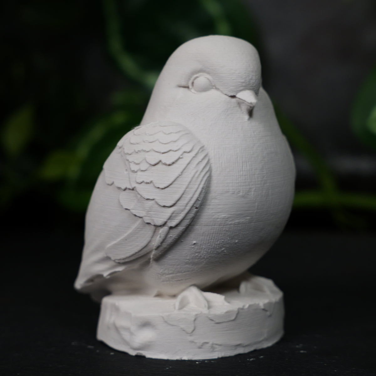 Dove