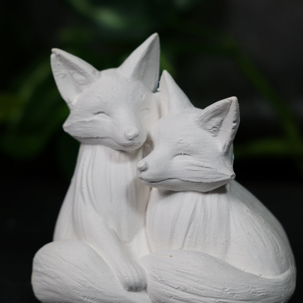 Foxes Cuddling