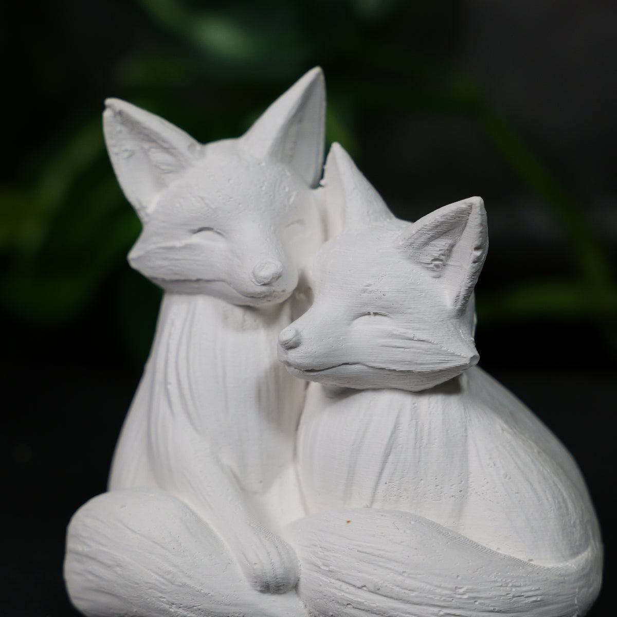 Foxes Cuddling
