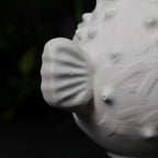 Pufferfish