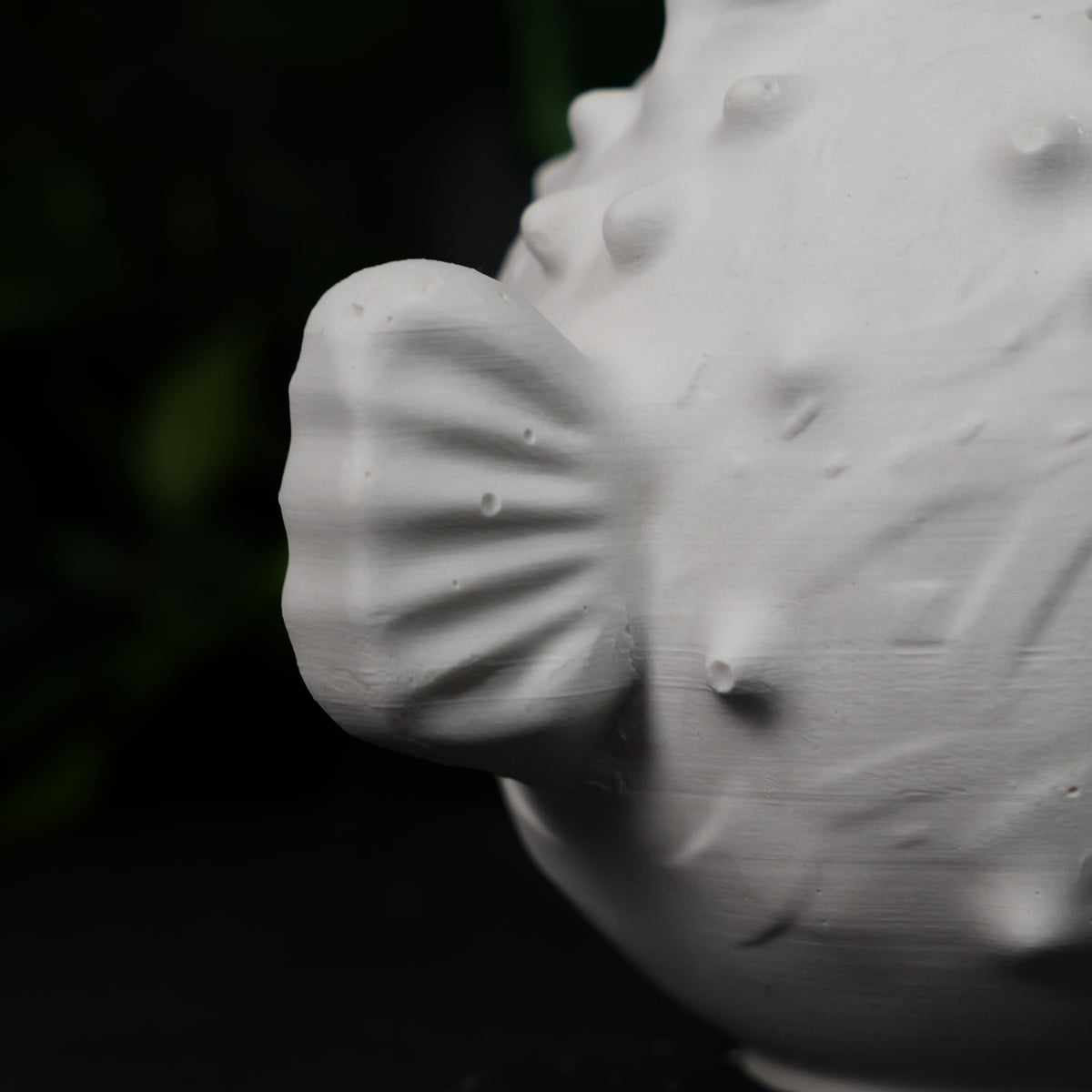 Pufferfish