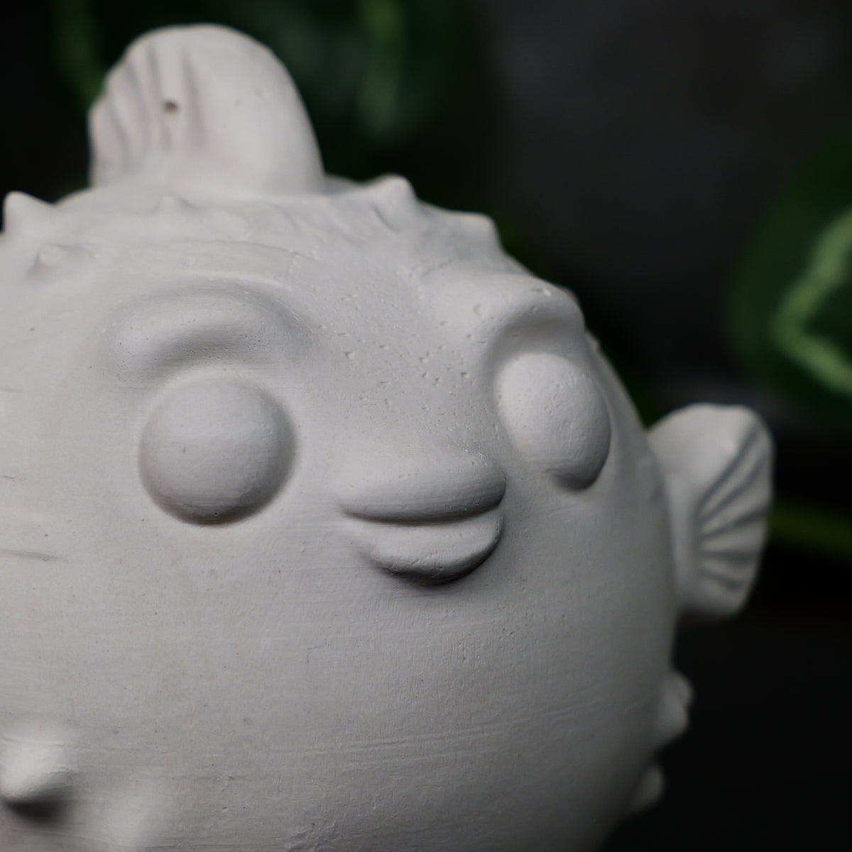 Pufferfish